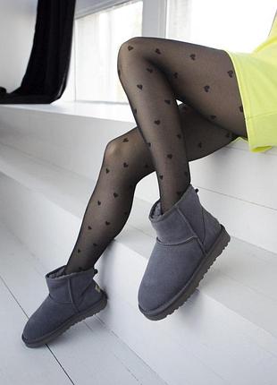 Шикарні жіночі замшеві зимові уггі/ чоботи/ черевики ugg classic mini grey😍 (з хутром)2 фото