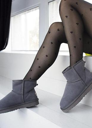 Шикарні жіночі замшеві зимові уггі/ чоботи/ черевики ugg classic mini grey😍 (з хутром)6 фото