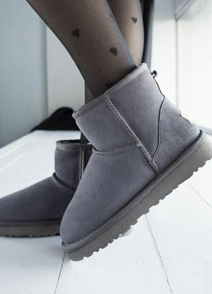 Шикарні жіночі замшеві зимові уггі/ чоботи/ черевики ugg classic mini grey😍 (з хутром)