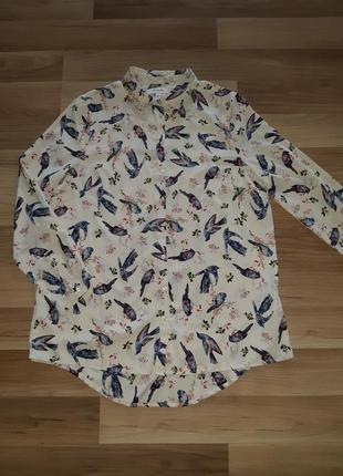 Модная блузка в птицы2 фото