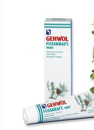 М'ятний охолоджувальний бальзам gehwol fusskraft mint 125 мл