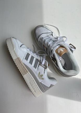 Кросівки adidas forum 84 low white grey beige