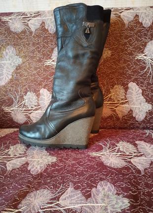Сапоги кожа