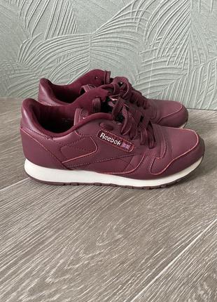 Кросівки reebok classic