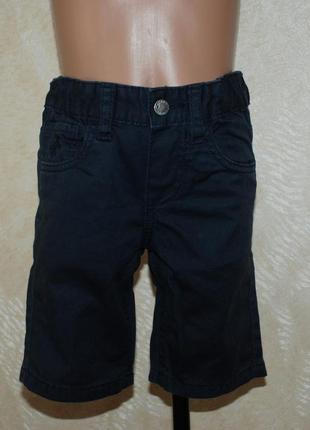 Шорты на мальчика бренда palomino 
/100%cotton/