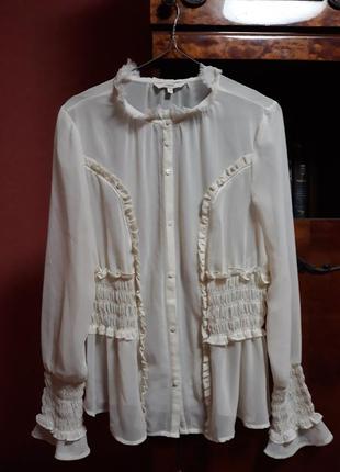 Нежная  блуза