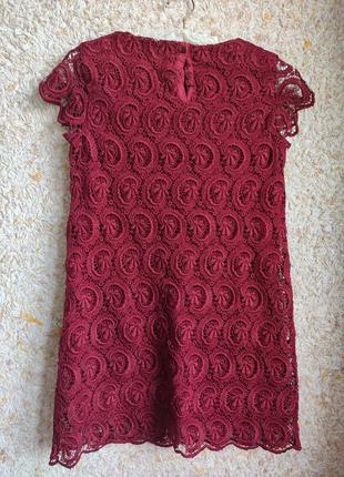 Червона сукня жіноча мереживна літня ошатна бордова вечірня zara2 фото