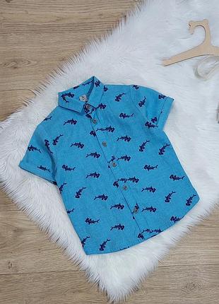 Tu kids, детская летняя рубашка на 2-3 года, идеальное состояние