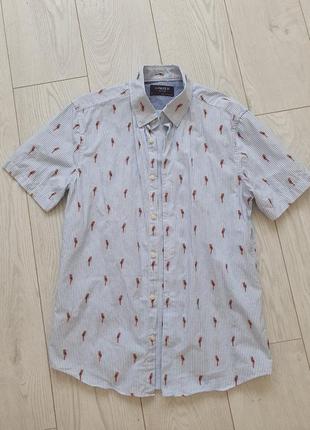 Сорочка в папужки