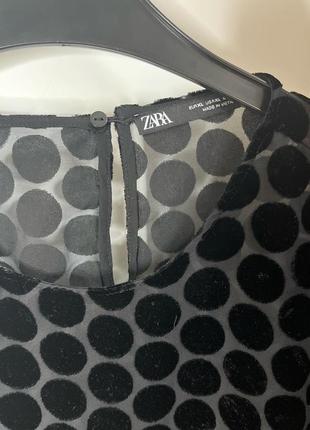 Блуза в горошок zara7 фото