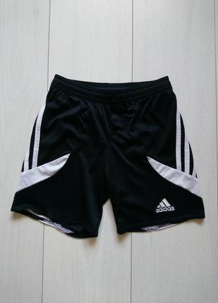 Спортивные шорты adidas