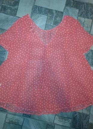 Блуза в принт зірочки