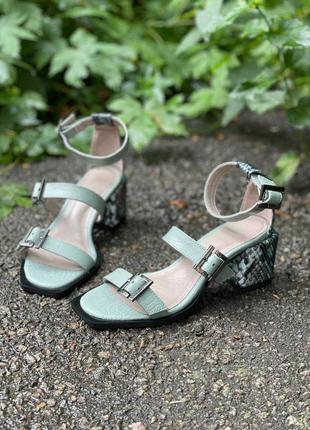 Кожаные с тиснением босоножки с ремешками много цветов5 фото