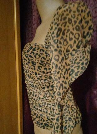 Актуальная трендовая леопардовая блуза топ сетка длинный рукав р 406 фото