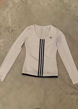 Новая кофта adidas