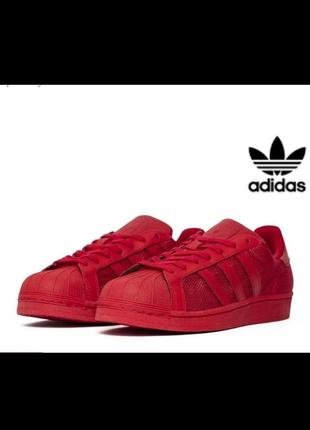 Кроссовки adidas superstar оригинал оригинал