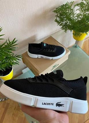 Кросівки lacoste