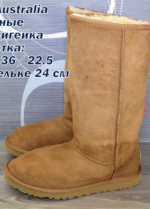 Сапоги ugg australia1 фото