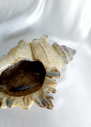 Ракушка керамическая
