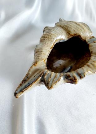 Ракушка керамическая