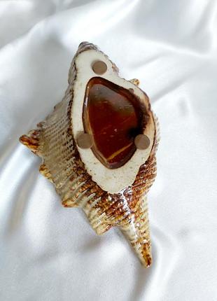 Ракушка керамическая