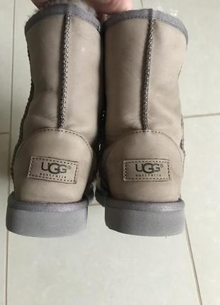 Угги оригинал стильные модные сапоги ugg размер 338 фото