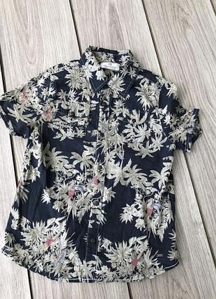 Сорочка scotch & soda