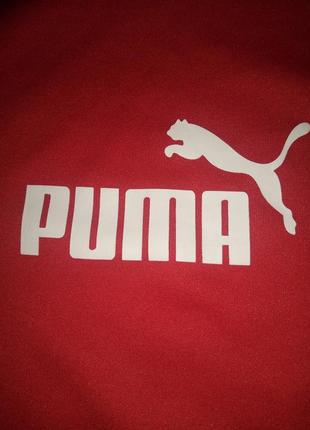 Свитшот толстовка puma2 фото