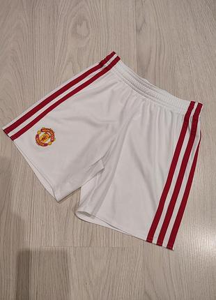 Шорти спортивні adidas, manchester united, р. 110/116