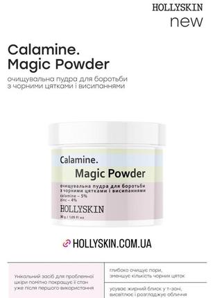 Очищающая пудра для борьбы с черными точками и высыпаниями hollyskin calamine. magic powder