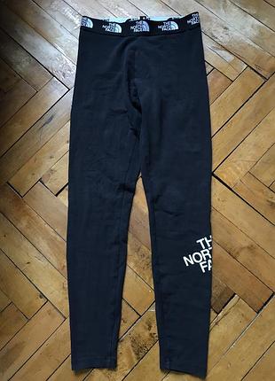 Лосины the north face
