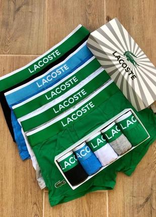 Подарунковий набір труси lacoste — 5 шт. у коробці