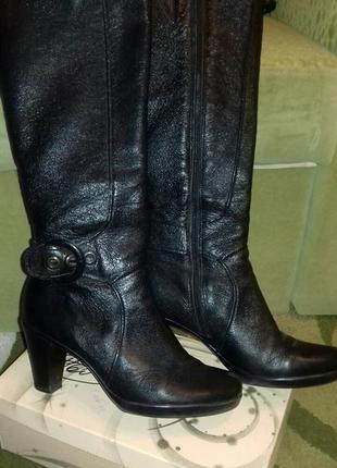 Чоботи демі