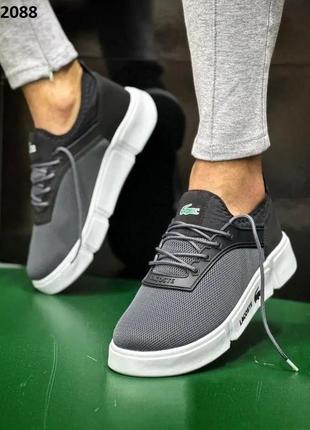 Кроссовки Kids lacoste