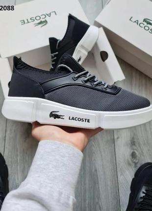 Кроссовки lacoste6 фото