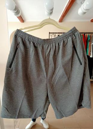 Чоловічі спортивні шорти батал