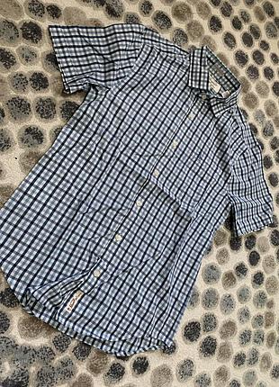 Рубашка, теніска penguin. стан відмінний. розмір s