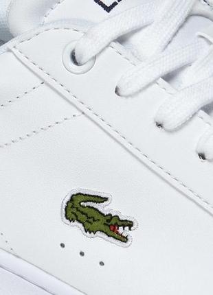 Lacoste кросівки чоловічі carnaby evo6 фото