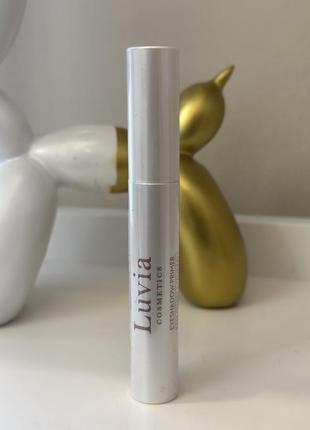 Праймер основа под тени  luvia eyeshadow primer1 фото