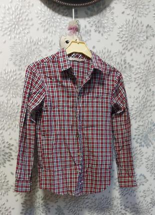 Рубашка 100% cotton h&amp;m /9-10р