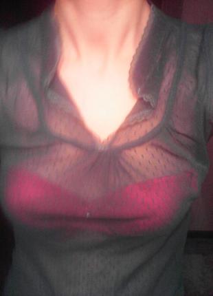 Zara блузка, футбола4 фото