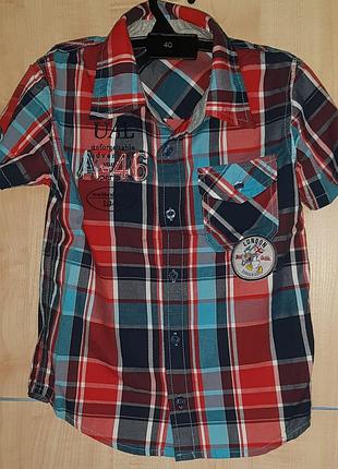 Классная, коттоновая рубашка nova 5-6р.