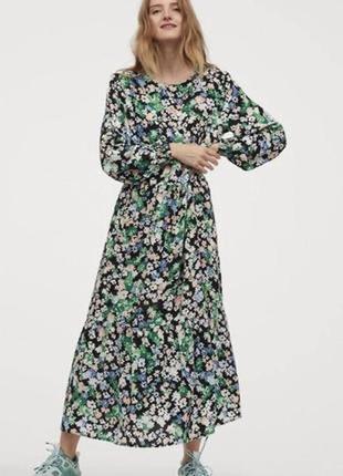 Плаття h&m