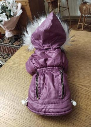 Одяг для собак, куртка для собак , котів  xs