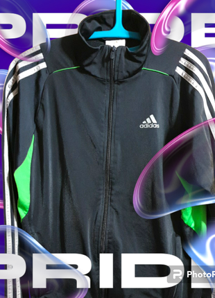 Брендовая олимпийка adidas1 фото