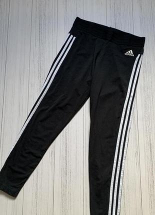 Лосіни adidas