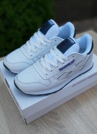 Кросівки reebok classic