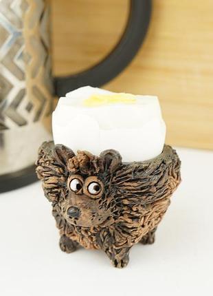 Пашотниця їжак