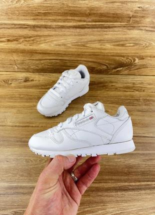 Кроссовки reebok classic1 фото