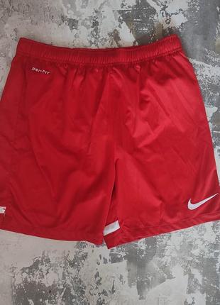 Спортивные шорты nike dri-fit